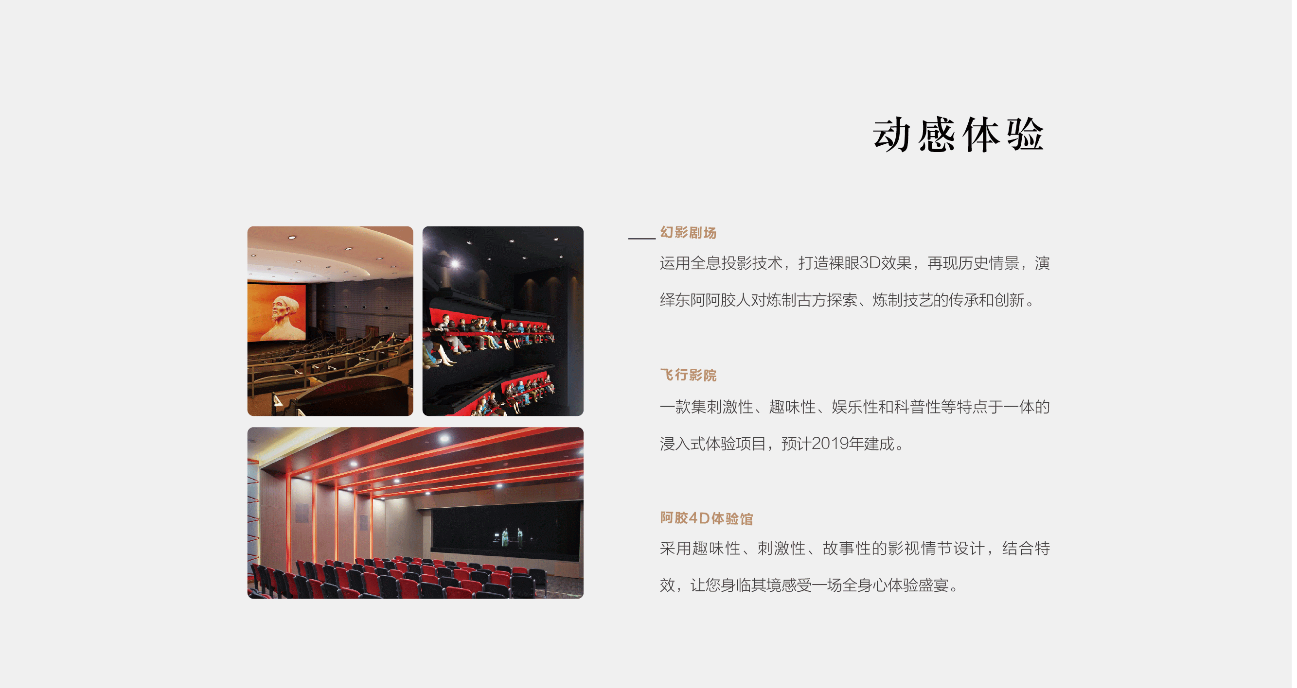 盛力国际阿胶-阿胶世界